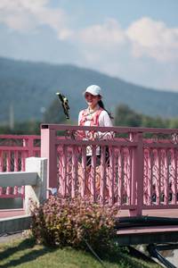 BIB: 
                            <button type="button" onclick="openModal(27162602)" class="btn btn-primary btn-sm float-right btn-popup" data-toggle="modal" data-target=".modal-high-quality">
                        <i class="fas fa-shopping-cart"></i> Add to Cart
                    </button>
                                            <button type="button" onclick="isThisMe(27162602, true)" class="btn btn-success btn-sm float-right btn-popup btn-isme hidden" data-toggle="tooltip" data-placement="bottom" title="นี่คือรูปของคุณใช่ไหม คลิกที่นี่เพื่อเอาเข้าอัลบั้ม">
                        <i class="fas fa-plus"></i> Add to album
                    </button>
                    <button type="button" onclick="isThisMe(27162602, false)" class="btn btn-warning btn-sm float-right btn-popup btn-isnotme hidden">
                        <i class="fas fa-ban"></i> Remove from album
                    </button>